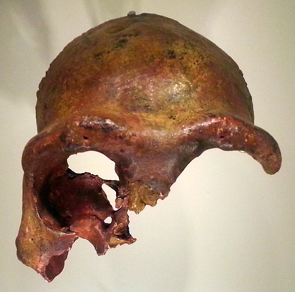 File:IMJ view 20130115 192522.jpg