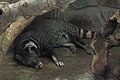 Thumbnail for version as of 22:43, 12 November 2015