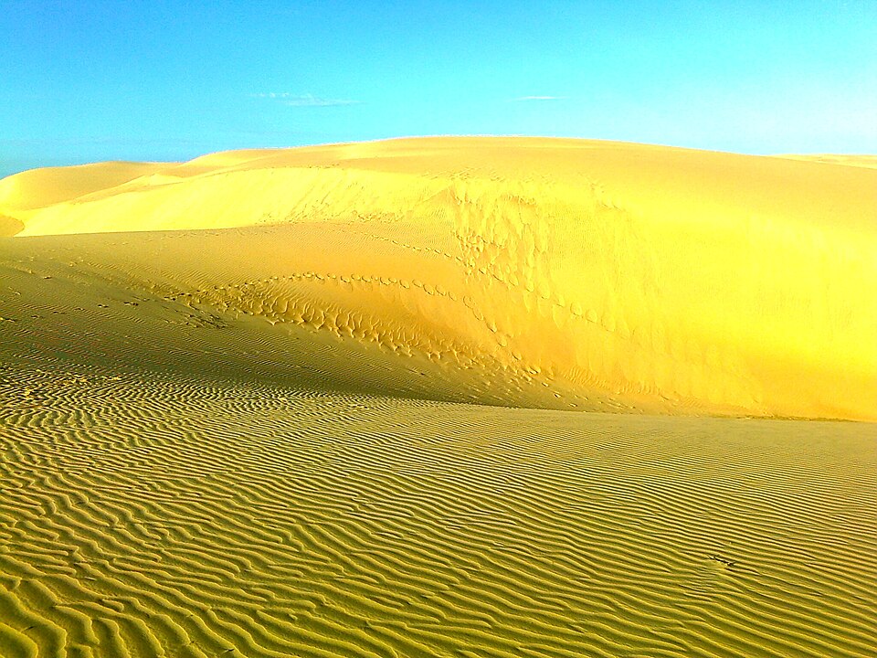 File:Medanos de Coro Falcon.jpg
