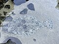 Thumbnail for version as of 15:03, 1 May 2024