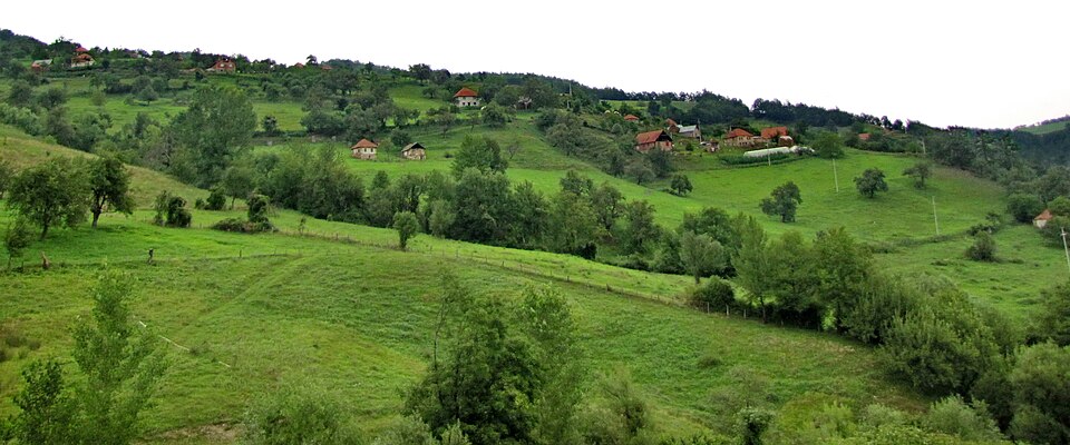 File:Smoluća1.JPG