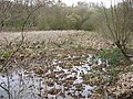Bookham Common