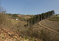 Bévercé, panorama