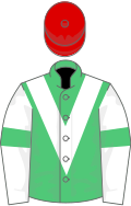 Emerald Green, White chevron, White sleeves, Emerald Green armlets, Red cap
