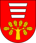 Coat of arms of Gmina Hańsk