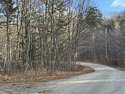 Chemin du lac Clair, forest road