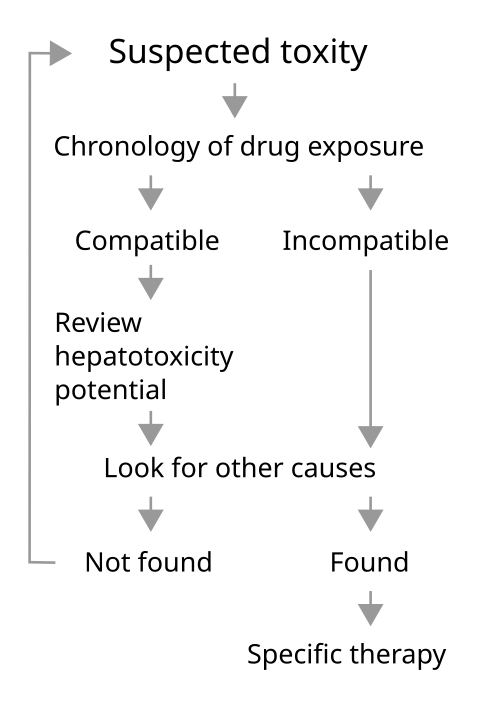 File:Assessment of hepatotoxicity.svg