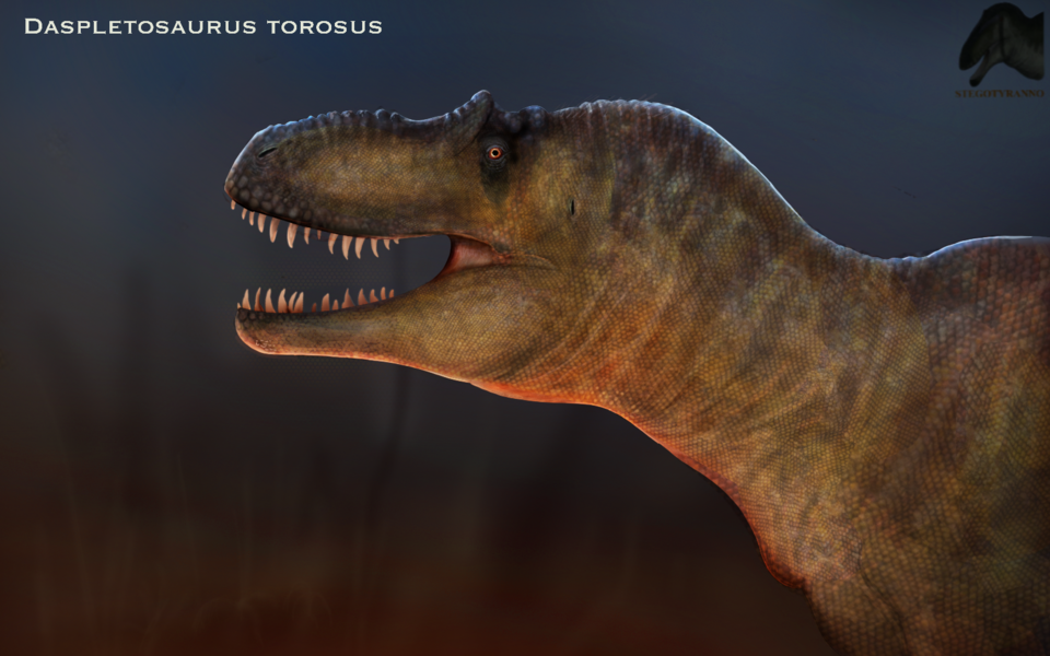 File:Daspletosaurus torosus 1.tif