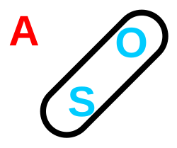 A diagram with S and O circled together, with "A" off to the side.