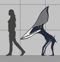 Thumbnail for version as of 12:16, 29 September 2025