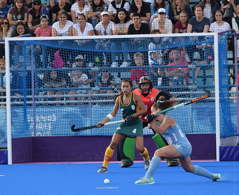 File:Leoncitas-Sudáfrica YOG18.jpg