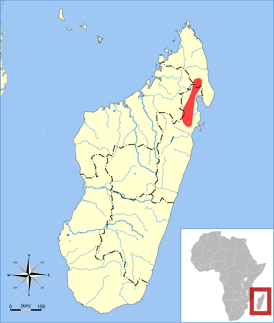 File:Microgale dryas range map.svg