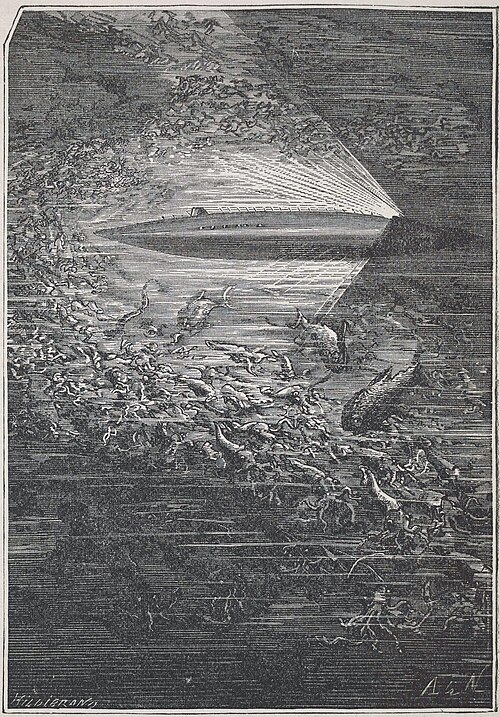 File:Nautilus Neuville.JPG