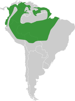 Northern South America, excluding the Andes mountains and the Brazil/Venezuela border