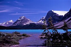 Bow Lake and Crowfoot Glacier