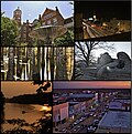 Thumbnail for version as of 01:42, 31 January 2011