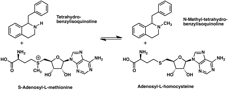File:EC 2.1.1.115 rxn.png