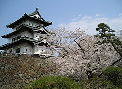 Japanese castle with cherry blossoms
