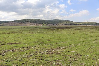 A large green field.