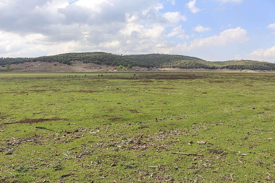 File:Lake Dayet Hachlaf after drying.jpg