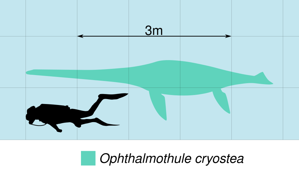 File:Ophthalmothule Scale.svg
