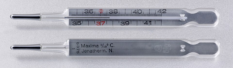 File:Quecksilber-Fieberthermometer.jpg