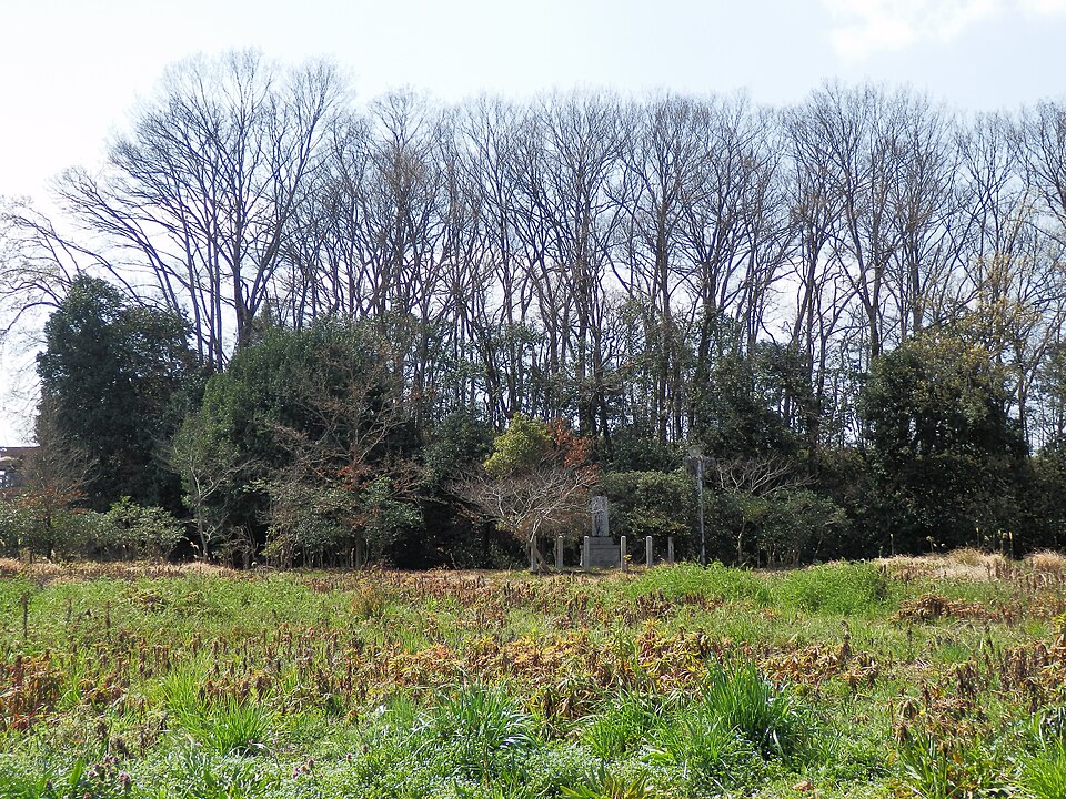 File:Sakurai Chausuyama Kofun.jpg
