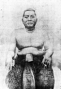 Somdet Chaophraya Phichaiyat (That Bunnag), the king's regent in Bangkok