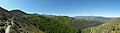 Beech and pine forests in the Sierra de la Demanda