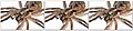 Thumbnail for version as of 07:33, 19 December 2006