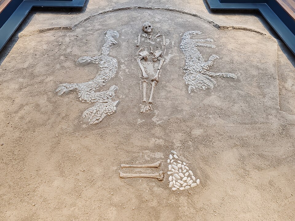 File:中華第一龍.jpg