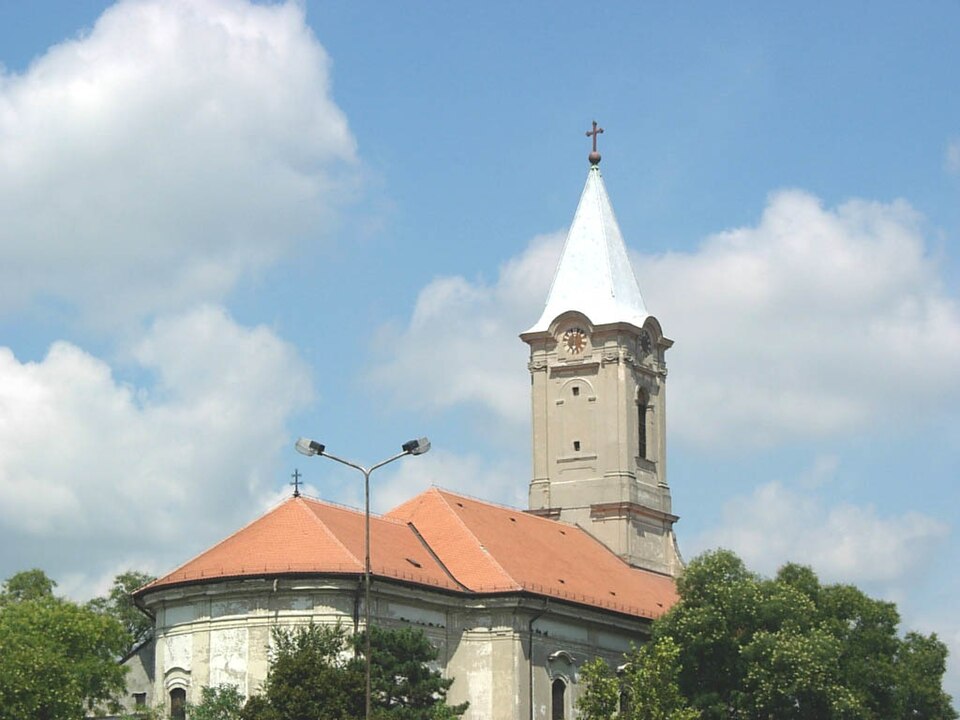 File:Csoka1.jpg