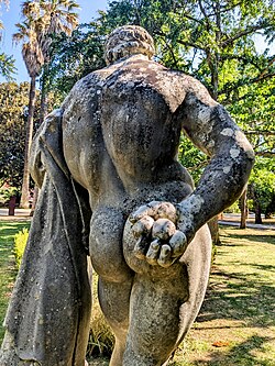 Farnese Hercules holding 3 'golden apples' or quinces. Copy of 3rd century AD statue