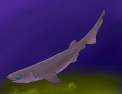 Mcmurdodus featherensis (extremely hypothetical and almost certainly inaccurate)