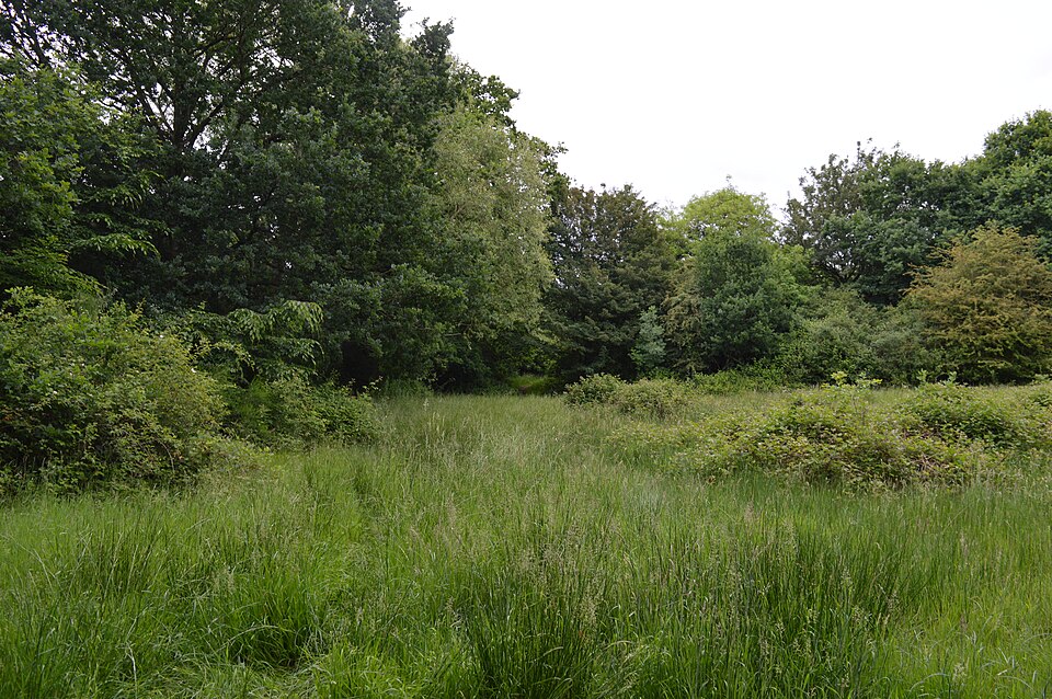File:Mill Meadows, Billericay 6.jpg