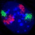 Thumbnail for version as of 20:23, 11 March 2012