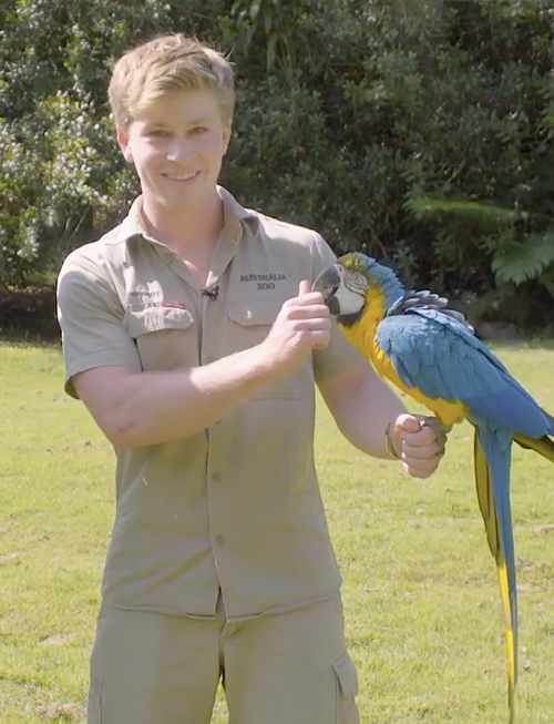 File:Robert Clarence Irwin with a parrot.png
