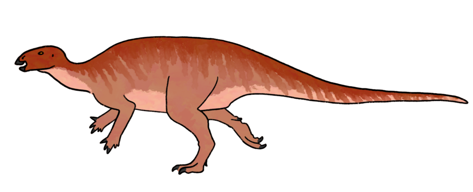 File:Uteodon reconstruction raingerr.png