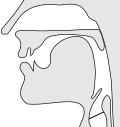 Thumbnail for version as of 22:45, 31 March 2020