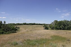 Dyakovsky Forest NP