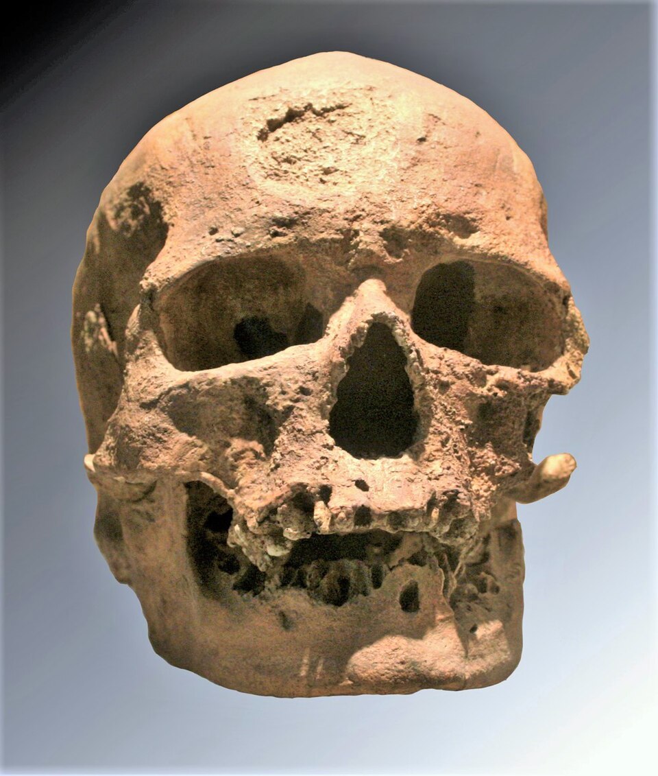 File:Cro-Magnon.jpg