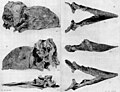 Thumbnail for version as of 20:38, 26 March 2014