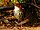 Stub icon