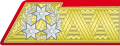 Insignia of an Austro-Hungarian Army colonel general