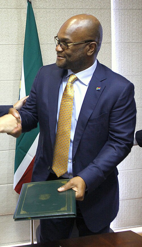 File:Nkosinathi Mthethwa (43752407695) (cropped).jpg