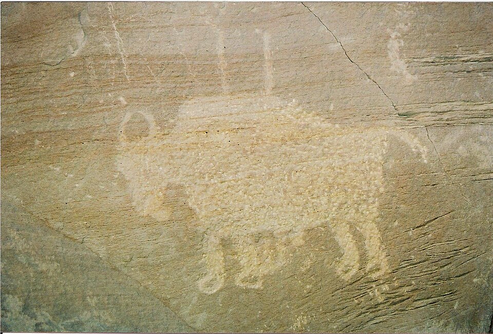 File:Utebison.jpeg