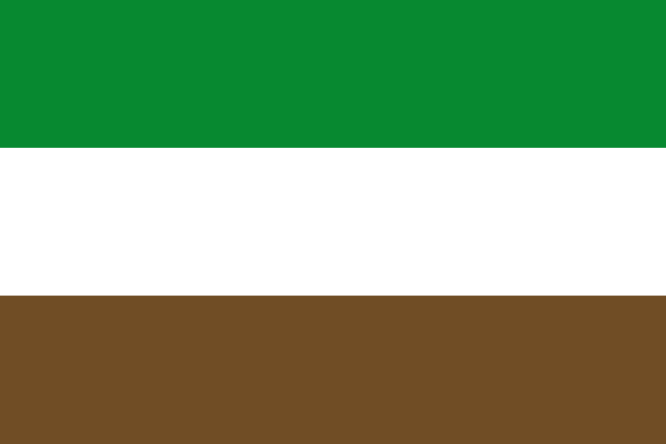 File:Flag of Arauquita (Arauca).svg