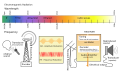 Thumbnail for version as of 15:23, 17 June 2025