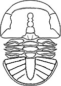 Thumbnail for version as of 11:47, 24 December 2012