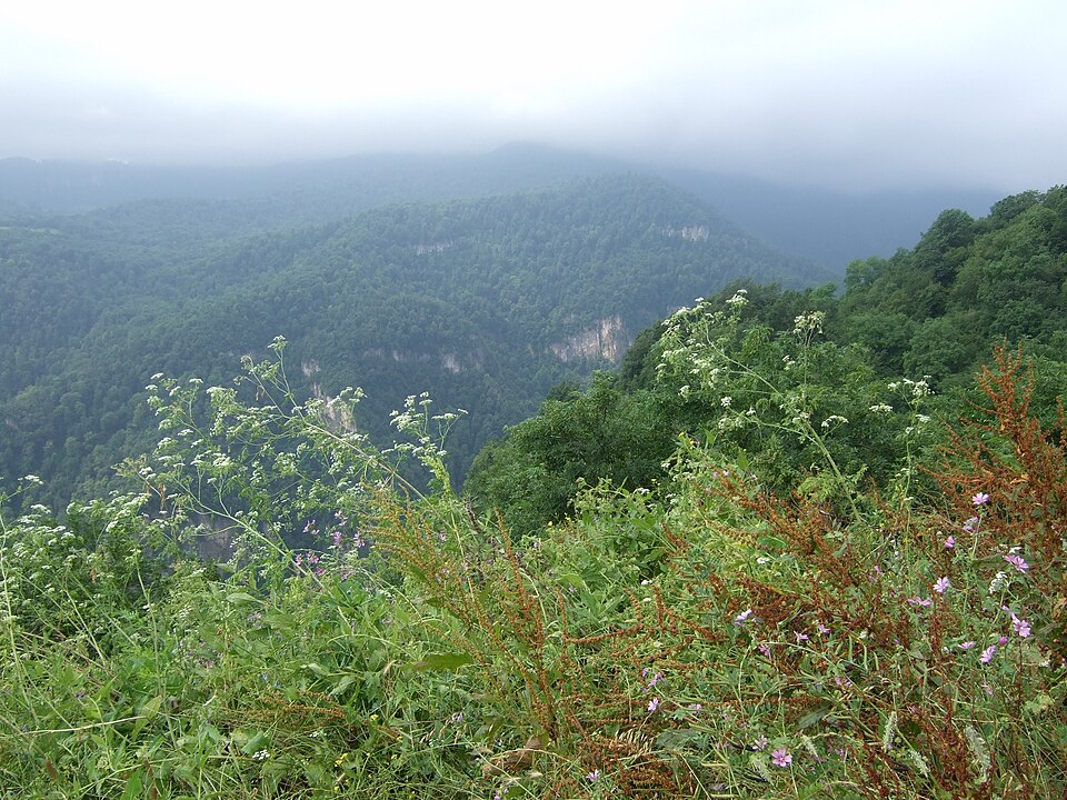 File:Լաստիվեր 2.JPG